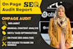 do SEO audit wordpress on page optimization and store audit