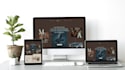 design responsive wordpress website using elementor pro