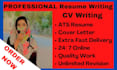provide professional resume writing service