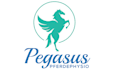design a professional modern pegasus logo