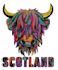 professional embroidery digitizing for logo dst pes exp
