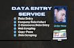do sparkling data entry, copy paste, web research