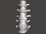 make 3d human anatomical models
