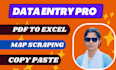 copy paste pdf to excel conversion excel typing data entry