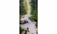 make artistic oil paint landscape on canvas