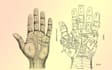 can read your palm and tell you your future love, life and wealth