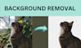 remove the background of your photo
