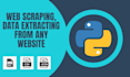 provide web data scraping, data mining services for your business using python