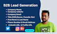 provide targeted b2b lead generation,linkedin lead generation in 24 hr