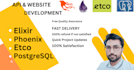 be your elixir and phoenix with liveview developer