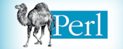 write and troubleshoot perl script