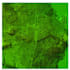 process your lidar data in las and laz formats