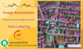 do image annotation, segmentation and labeling manually