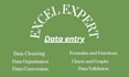 do data entry in microsoft excel