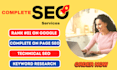 do website onpage SEO and technical optimization service of wordpress website