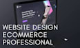 do professional website design ecommerce