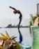 help you improve mobility with online yoga