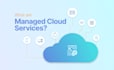 management of cloud computing