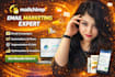 be your mailchimp email marketing specialist