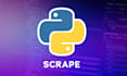 scrape any website with python