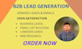 can generate all the leads professionally