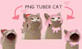 turn you into a pngtuber cat