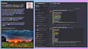 create a professional looking advanced discord server
