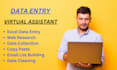 do data entry, web research, excel, admin support work, email, copy paste