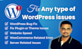 fix wordpress bugs, customize design, and boost your site speed