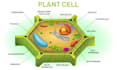 design scientific illustration, figures, diagrams and graphical abstracts