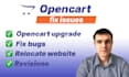 fix bugs on your opencart website