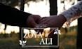 design wedding invitation video within 24 hours