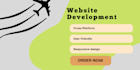 do website development using html css and javascript
