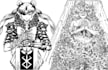 do black and white illustration, line art, vector art,tattoo, merch, book design