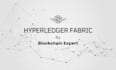 create dapps on hyperledger fabric blockchain