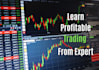 teach you to learn profitable trading