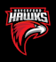 do make an modern eagle logo