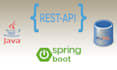 develop java applications and rest apis using spring boot