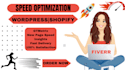 speed optimisation speed up wordpress google page speed