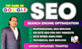 optimize website SEO on wordpress, shopify, wix, squarespace