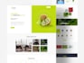 be front end designer and developer with html, css , website