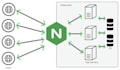 deploy your app to your server with docker and nginx