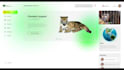 design and create website of yourself