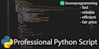 create a professional python script