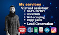 do quaint data entry, web scraping, lead generation