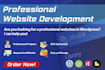 develop a professional website in wordpress