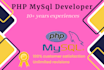 fix bugs and develop website using PHP, mysql professionally