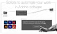 develop workflow automation script or extension for adobe software