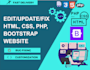 fix bugs, optimize, and improve your website performance
