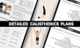create a calisthenics workout plan
